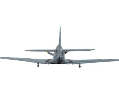 AC110-6__96202.jpg