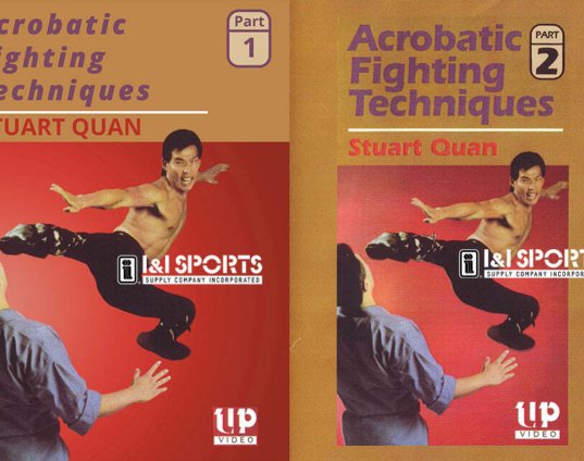 2-dvd-set-acrobatic-martial-arts-fighting-techniques-stuart-quan-dvds.jpg