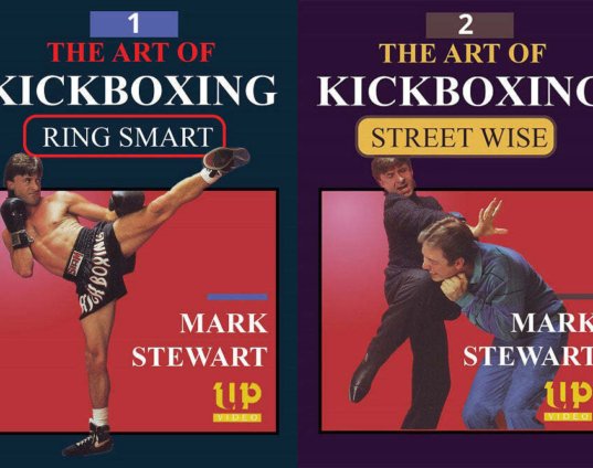 2-dvd-set-art-of-kickboxing-ring-smart-self-defense-mark-stewart-dvd.jpg
