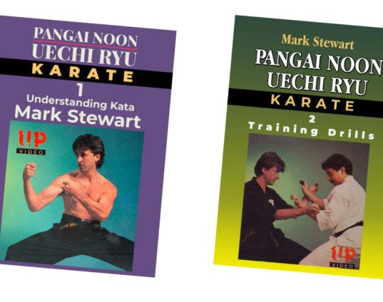 2-dvd-set-chinese-okinawan-pangai-noon-uechi-karate-kata-secrets-mark-stewart-dvds.jpg