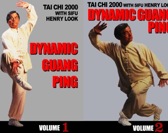 2-dvd-set-dynamic-guang-ping-yang-tai-chi-dvd-henry-look-hard-soft-fighting-dvds.jpg