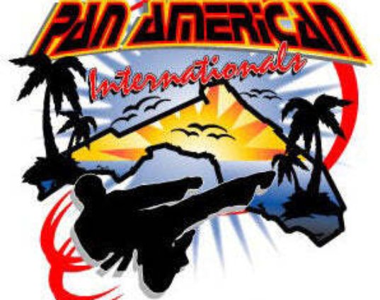 2003-pan-american-internationals-karate-martial-arts-tournament-dvd-sparring.jpg