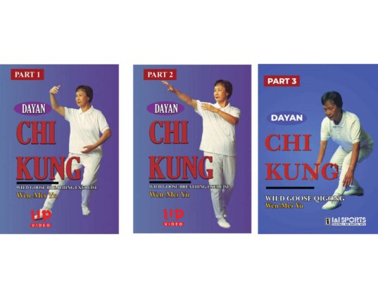 3-dvd-set-dayan-chi-kung-wild-goose-qigong-forms-wen-mei-yu-dvd.jpg
