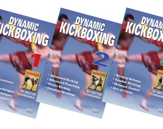 3-dvd-set-dynamic-kickboxing-hector-echavarria-champion-fight-techniques.jpg