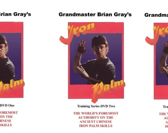 3-dvd-set-kung-fu-iron-palm-training-a-complete-course-by-gm-brian-gray-dvds.jpg