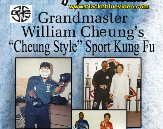 3-dvd-set-william-cheung-wing-chun-style-tournament-full-contact-anthony-arnett-dvd.jpg