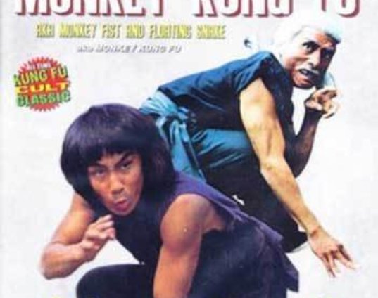 ancient-art-of-monkey-kung-fu-movie-dvd-dvd.jpg