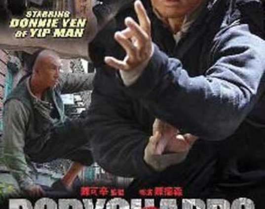 bodyguards-and-assassins-dvd-dvd.jpg