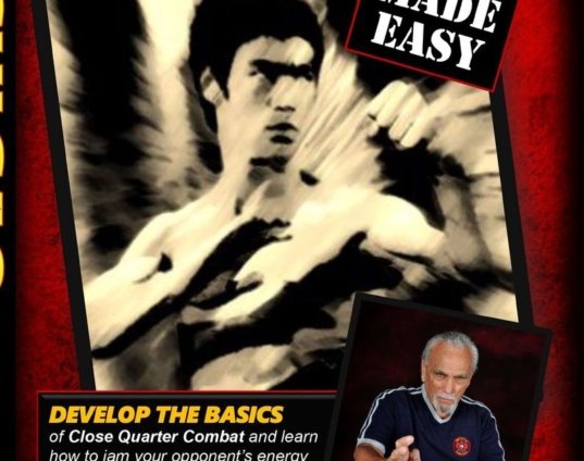 bruce-lee-chi-sao-made-easy-dvd-james-demile-seattle-wing-chun-do-sticky-hands-dvd.jpg