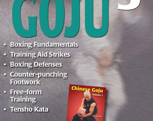 chinese-goju-karate-3-boxing-tensho-aikijutsu-counters-dvd-ron-van-clief.jpg