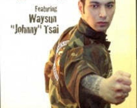 combat-shaolin-chuan-fa-kung-fu-shadow-palm-cutting-punch-dvd-waysun-johnny-tsai-dvd.jpg