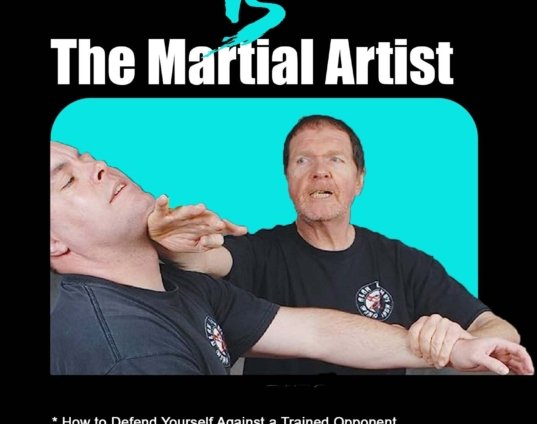 combat-wing-chun-kung-fu-2-vs-martial-artist-dvd-alan-lamb-dvd.jpg