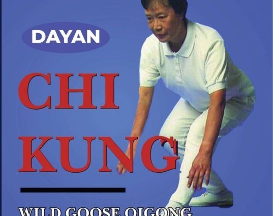 dayan-chi-kung-3-wild-goose-qigong-forms-56-64-dvd-wen-mei-yu-dvd.jpg