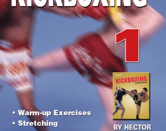 dynamic-karate-kickboxing-1-dvd-hector-echavarria-punching-blocking-kicking.jpg