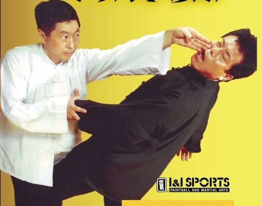 explosive-tong-bei-kung-fu-dvd-sun-anguang-northern-chinese-boxing-xue-ju-jin-dvd.jpg