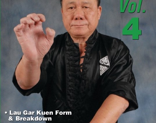 hung-gar-kung-fu-4-lau-gar-kuen-history-intricate-footwork-dvd-buck-sam-kong.jpg
