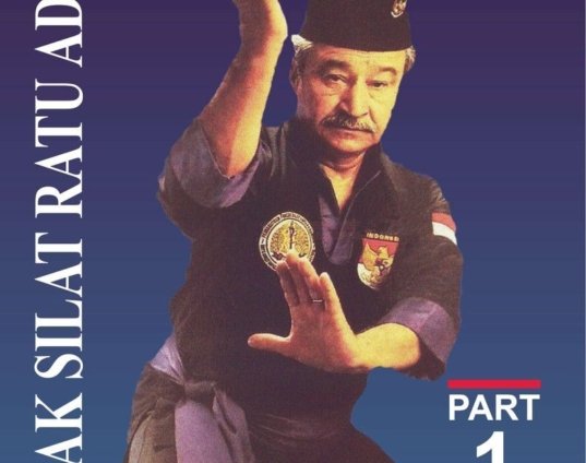indonesian-pencak-silat-ratu-adil-1-pukulan-forms-dvd-rudy-terlinden-dvd.jpg