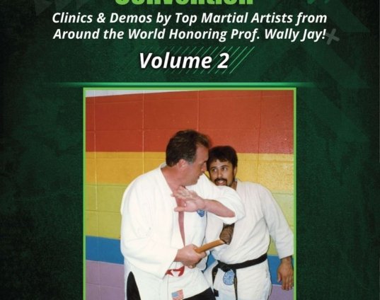 jujitsu-america-hawaiian-convention-2-dvd-sig-kufferath-james-muro-dave-castoldi-dvd.jpg