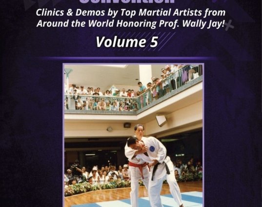 jujitsu-america-hawaiian-convention-5-dvd-melaugh-lynch-belzer-boggs-castro-jay-dvd.jpg