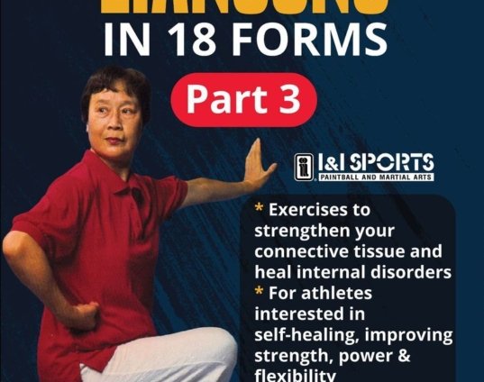 liangong-in-18-forms-3-heal-internal-disorders-taijiquan-qigong-dvd-wen-mei-yu-dvd.jpg