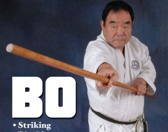 master-class-kobudo-karate-bo-staff-jo-dvd-2-fumio-demura-shito-ryu-shotokan.jpg