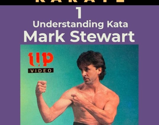 pangai-noon-uechi-ryu-karate-1-understanding-kata-dvd-mark-stewart-dvd.jpg