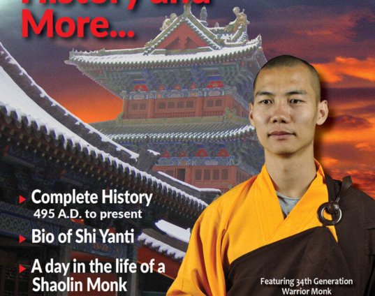 shaolin-temple-gung-fu-martial-arts-1-history-day-in-the-life-dvd-shi-yanti-physical.jpg
