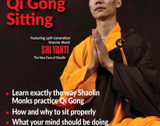 shaolin-temple-gung-fu-martial-arts-3-qi-gong-sitting-meditation-dvd-shi-yanti-physical.jpg