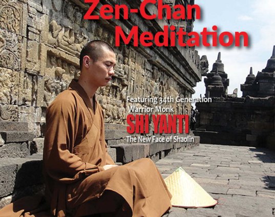 shaolin-temple-gung-fu-martial-arts-5-zen-chan-meditation-dvd-shi-yanti-physical.jpg