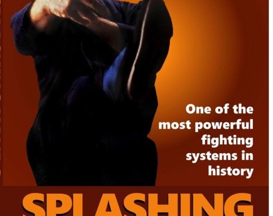 splashing-hands-kung-fu-1-fastest-powerful-fighting-system-dvd-james-mcneil-dvd.jpg