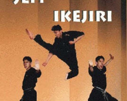 tournament-karate-fists-of-fury-hand-techniques-dvd-jeff-ikejiri-dvd.jpg