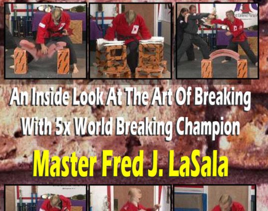 tournament-karate-inside-look-art-of-breaking-dvd-master-fred-lasala-dvd.jpg