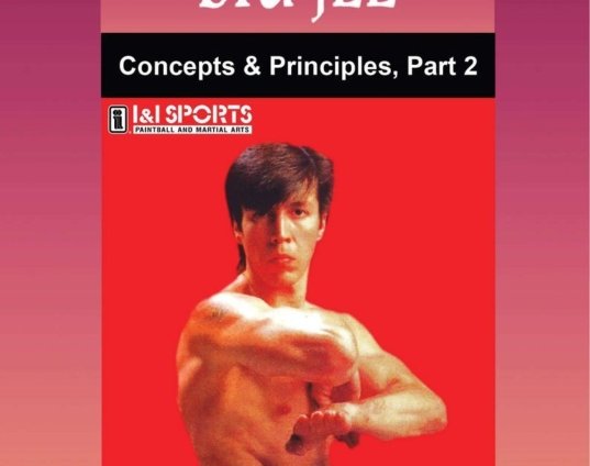 wing-chun-gung-fu-biu-jee-concepts-principles-2-dvd-randy-williams-dvd.jpg