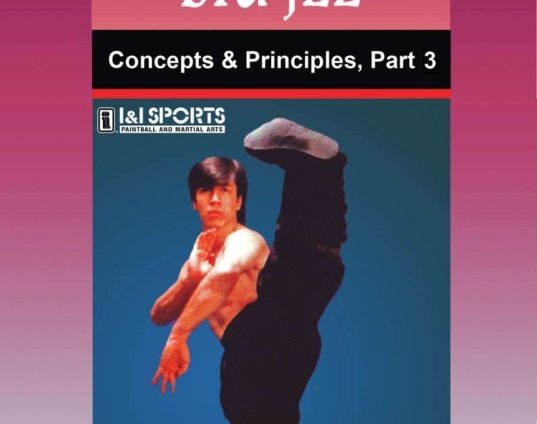 wing-chun-gung-fu-biu-jee-concepts-principles-3-dvd-randy-williams-dvd.jpg