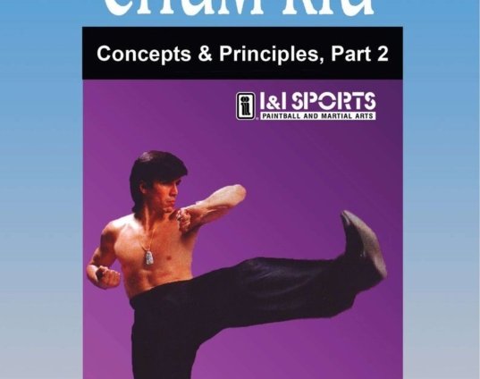wing-chun-gung-fu-chum-kiu-concepts-principles-2-dvd-randy-williams-dvd.jpg