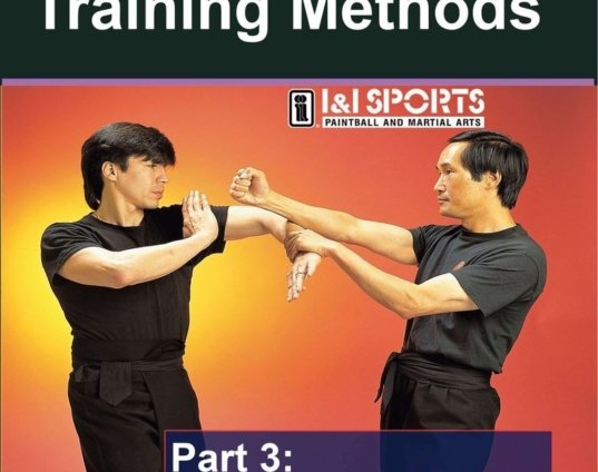wing-chun-gung-fu-training-methods-3-siu-leem-tau-biu-jee-dvd-randy-williams-dvd.jpg