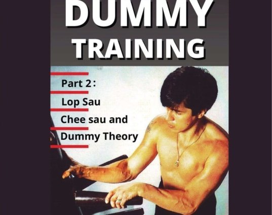 wing-chun-gung-fu-wooden-dummy-training-part-2-lop-sau-chee-sau-dvd-randy-williams-dvd.jpg