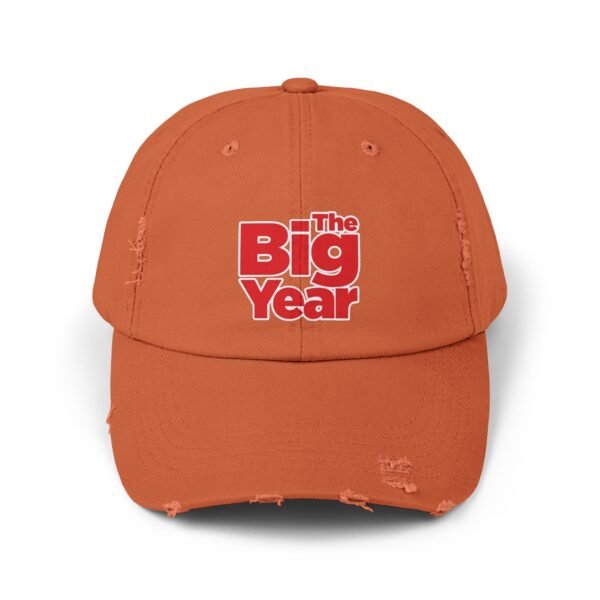 The Big Year Unisex Distressed Cap - Image 17