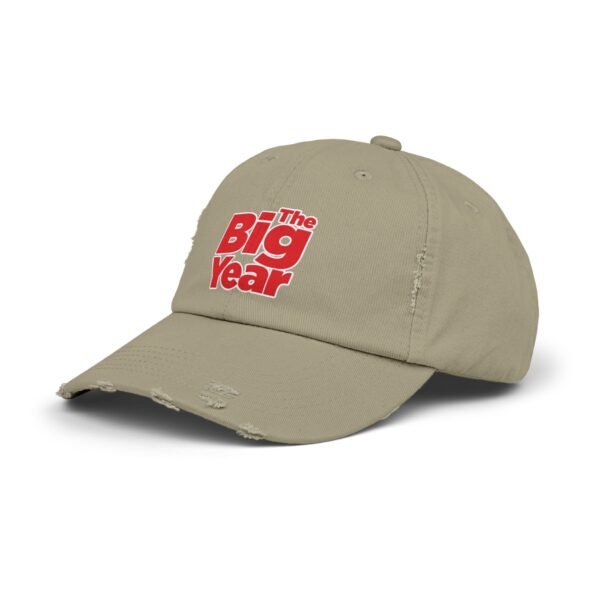The Big Year Unisex Distressed Cap - Image 2