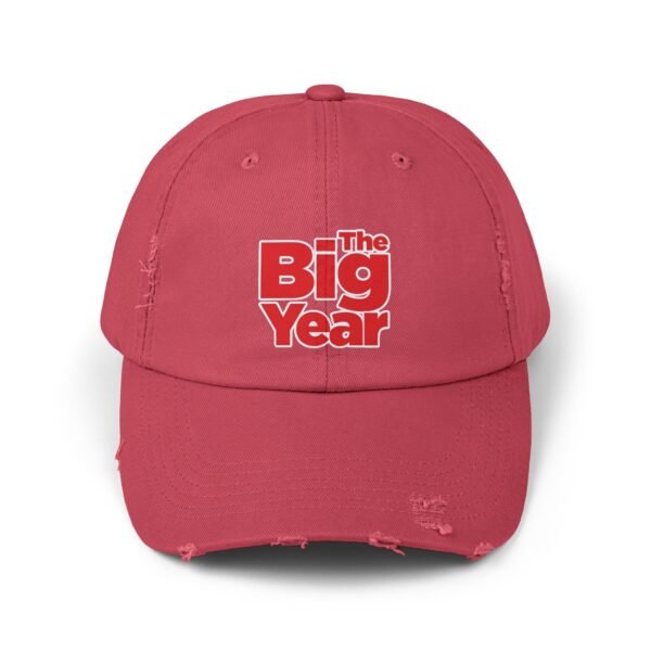 The Big Year Unisex Distressed Cap - Image 21