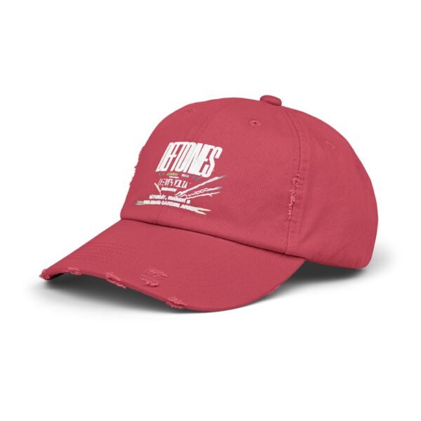 Deftones Unisex Distressed Cap - Image 22