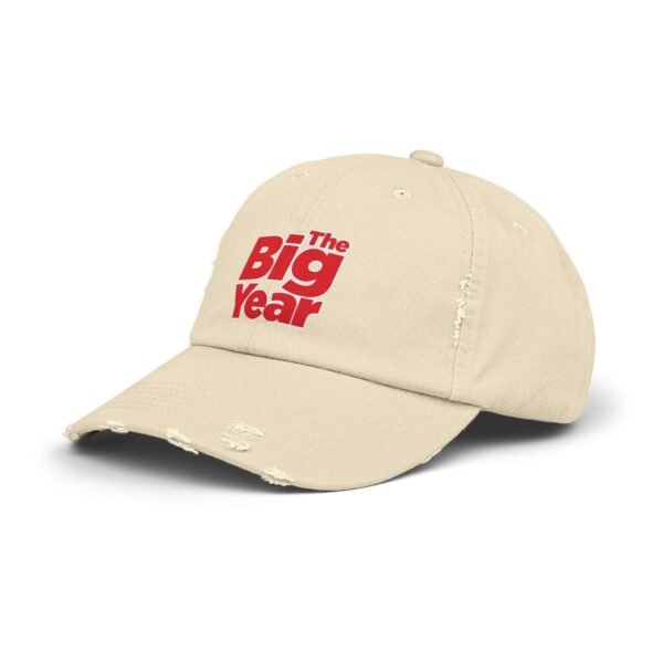 The Big Year Unisex Distressed Cap - Image 26