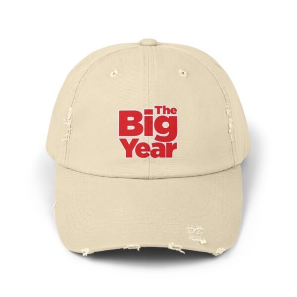The Big Year Unisex Distressed Cap - Image 25