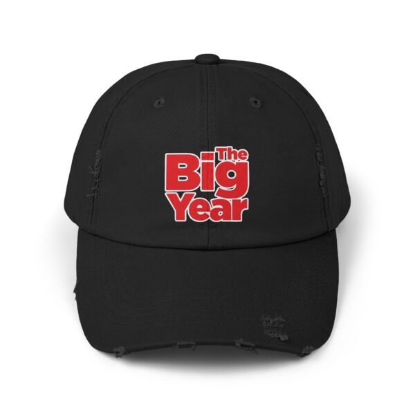 The Big Year Unisex Distressed Cap - Image 13