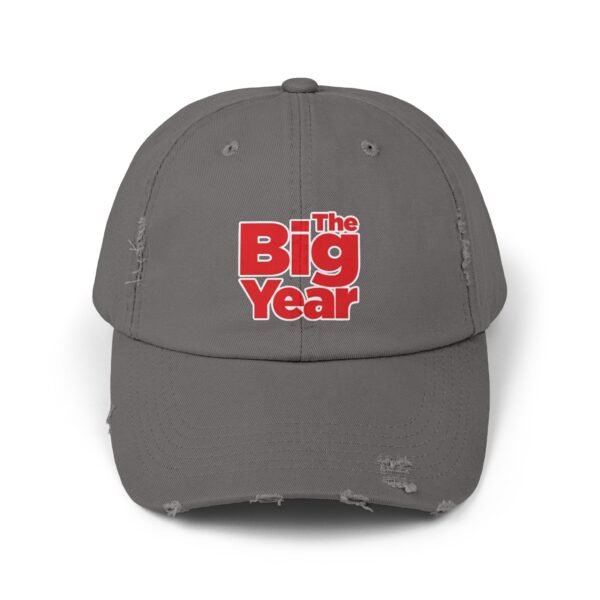 The Big Year Unisex Distressed Cap - Image 9