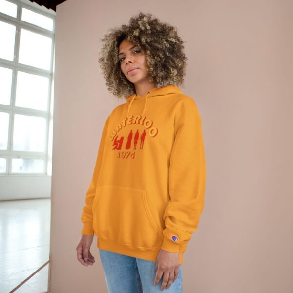 ABBA Champion Hoodie - Image 20