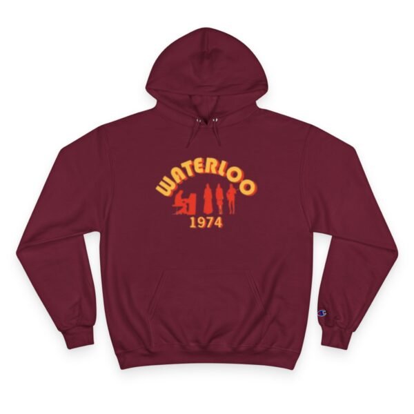 ABBA Champion Hoodie - Image 13