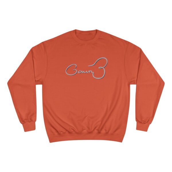 Silicon Valley Champion Sweatshirt - Image 9