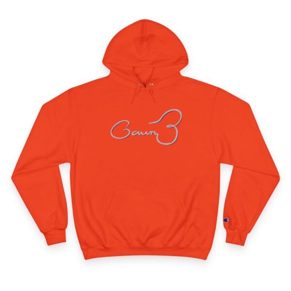 Silicon Valley Champion Hoodie - Image 5